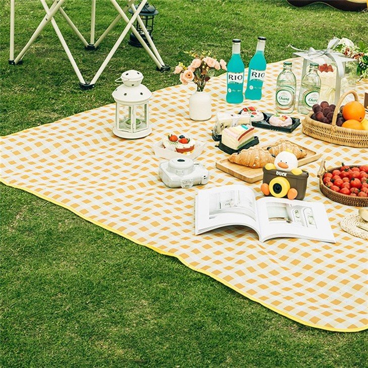 family picnic blanket
