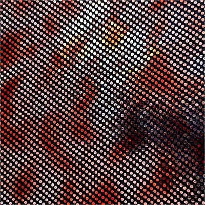 Shiny Stretch Fabric