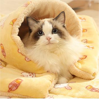 Soft And Fluffy Pet Blanket